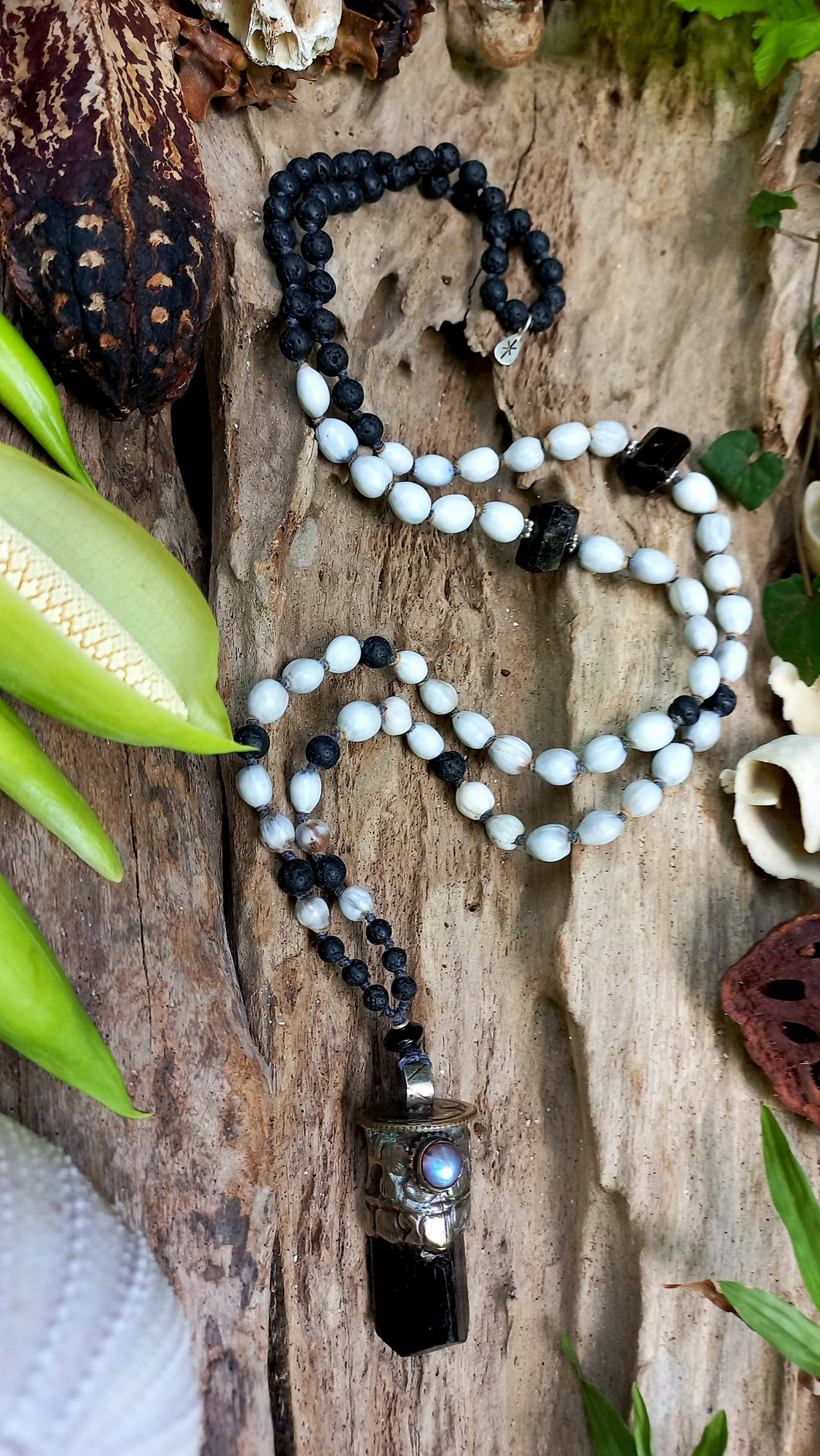 Aelura- seed of hope